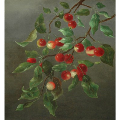 Lot 28 - American School 19th/20th Century Cherries...