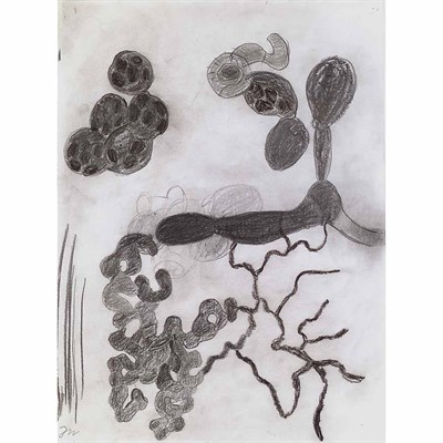 Lot 154 - Terry Winters American, b. 1949 Untitled...