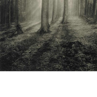 Lot 559 - MISONNE, LEONARD (1870-1943) [Untitled,...